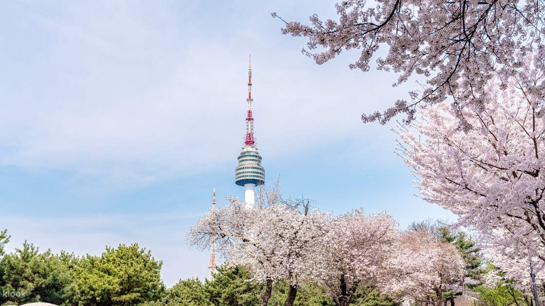 TP HỒ CHÍ MINH - SEOUL –NAMI – NAMSAN - EVERLAND 5N4Đ - Image - 11961
